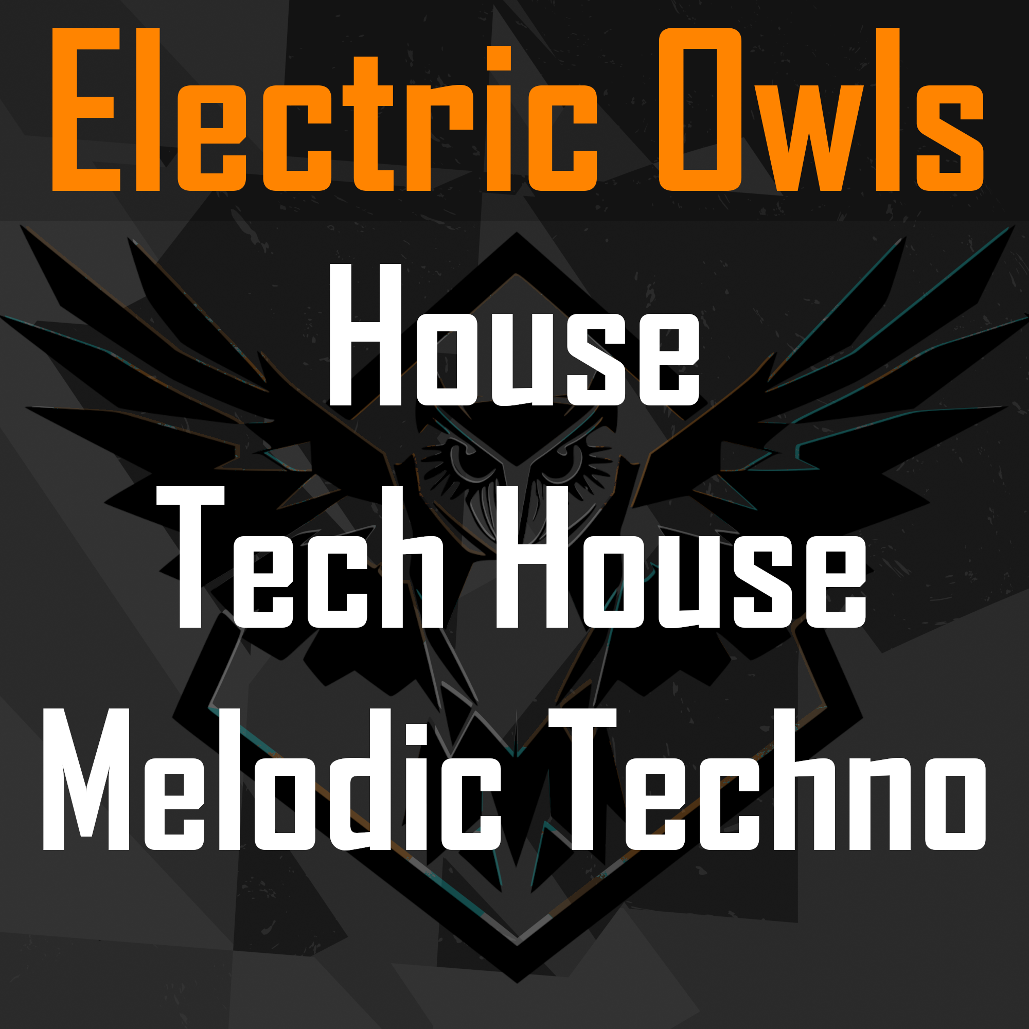 House - Tech House - Melodic Techno